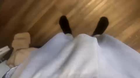 theplummer99 online show from October 2025 01:53:02 PM