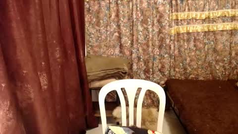 MIMI online show from February 2025 09:52:02 AM