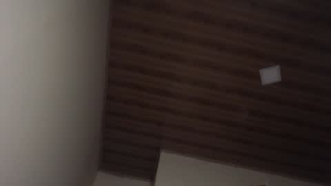 Snapshot of therazhanen chatting on December 2024 06:48:02 AM Santiago Enrique online show from December 2024 06:48:02 AM