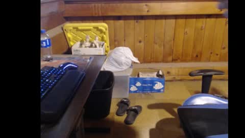 Snapshot of therealbigcheese0695 chatting on October 2025 08:21:02 PM therealbigcheese0695 online show from October 2025 08:21:02 PM