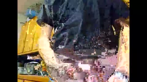 therizzler_1_of_1 online show from October 2025 04:35:02 AM