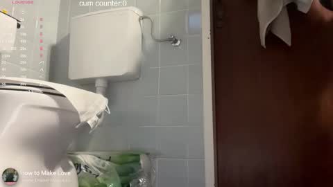 Snapshot of thesearchofgod chatting on February 2026 04:24:02 PM LISA online show from February 2026 04:24:02 PM