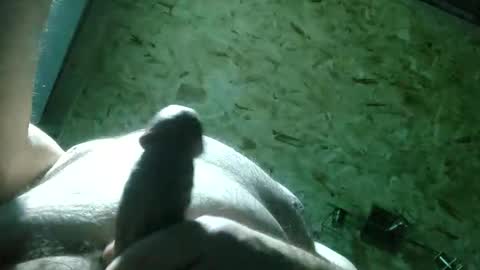 ThiccD online show from November 2025 09:14:02 PM