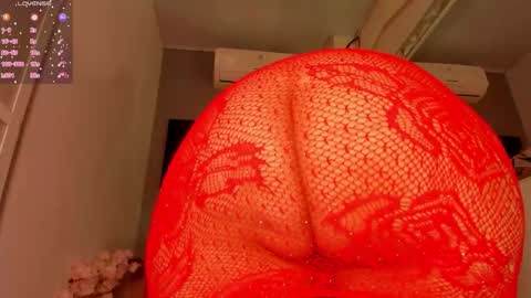 Lexxy online show from November 2025 12:05:02 PM