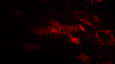 Thickamber online show from September 2025 10:18:02 AM