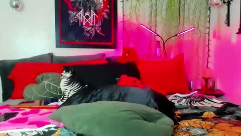 thickneyaadams online show from February 2026 04:55:01 AM