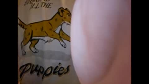 ThisIsFuckingFun online show from March 2025 07:19:01 AM