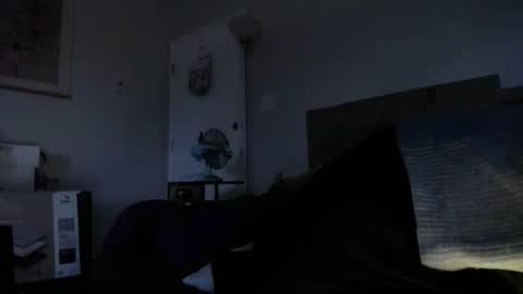 Tierra Henri online show from November 2025 03:28:02 PM