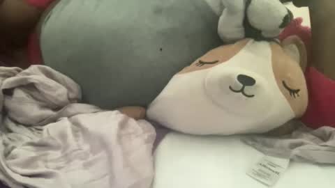 Tierra Henri online show from January 2026 08:12:01 PM