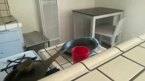 Tierra Henri online show from February 2026 07:39:02 PM