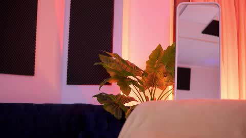 Tiff online show from February 2026 04:10:02 AM