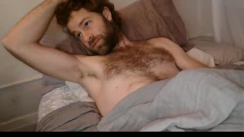 Snapshot of tigerzaddy chatting on December 2025 02:37:02 PM tigerzaddy online show from December 2025 02:37:02 PM