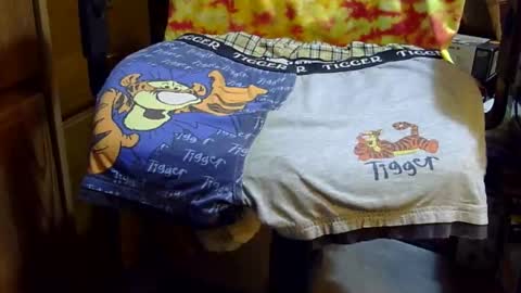 Snapshot of tiggerfan chatting on March 2026 04:13:02 AM Twig and berries... online show from March 2026 04:13:02 AM