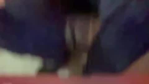 Timplaw online show from January 2025 03:33:01 PM