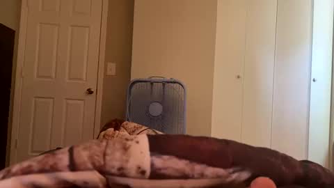 Tim Haley online show from October 2025 08:41:01 PM