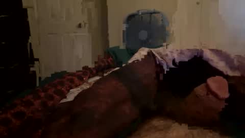 Tim Haley online show from March 2026 11:21:01 PM