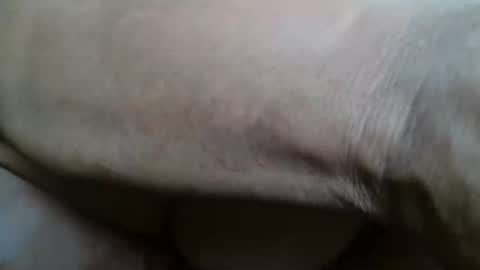 Snapshot of tinagiant chatting on November 2025 01:00:02 PM tinagiant online show from November 2025 01:00:02 PM