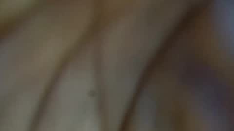 tinagiant online show from January 2026 04:45:02 PM