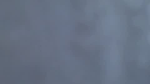 Snapshot of tinfoil6969 chatting on February 2026 06:17:01 PM see my bio masturbate thick cock ballsack edging cum online show from February 2026 06:17:01 PM