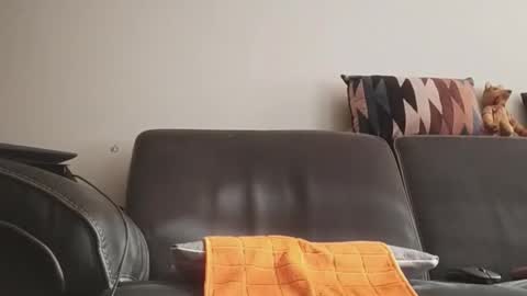 tinydick online show from June 2026 07:17:02 AM