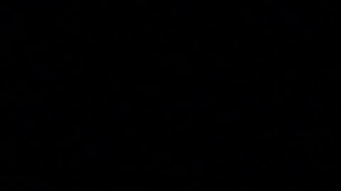 tinydaisy22 online show from December 2025 04:10:01 AM