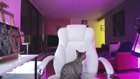 stage Kylie Sinner  brand CLITBAIT online show from October 2025 01:06:02 AM