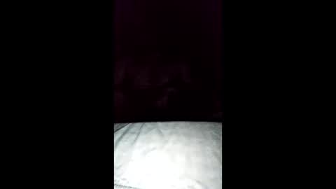 tiqueb69 online show from February 2026 07:34:02 AM