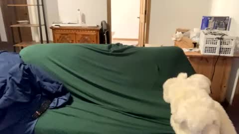 tjfemboi5641 online show from October 2025 11:54:01 AM