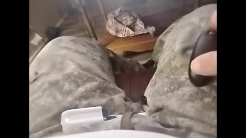 Snapshot of tjllagwbggrr chatting on February 2026 05:16:02 AM tjllagwbggrr online show from February 2026 05:16:02 AM