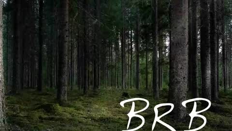 Tim online show from November 2025 07:16:01 PM