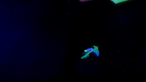 Sissy Boi online show from February 2025 03:01:02 AM