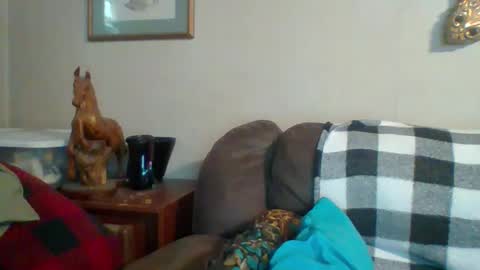 Vols online show from October 2025 09:26:02 PM