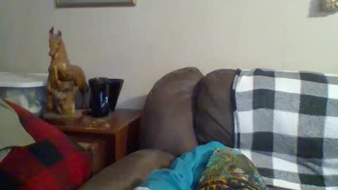 Vols online show from October 2025 01:31:01 AM