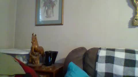 Vols online show from November 2025 09:58:01 PM