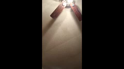 Vols online show from December 2025 01:44:01 AM