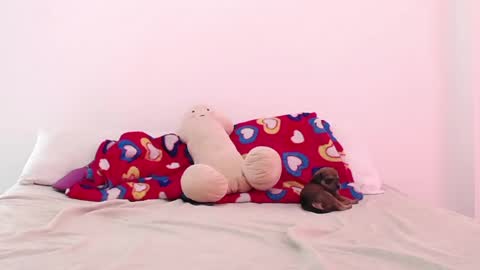 Adela y juan online show from December 2024 05:04:01 PM