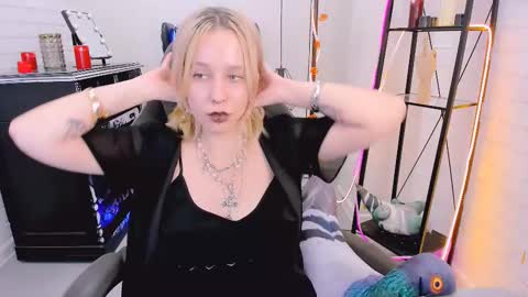 Snapshot of tollimoll chatting on December 2024 12:16:02 PM Tolli Moll online show from December 2024 12:16:02 PM