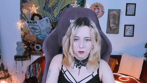 Snapshot of tollimoll chatting on January 2025 11:49:01 AM Tolli Moll online show from January 2025 11:49:01 AM