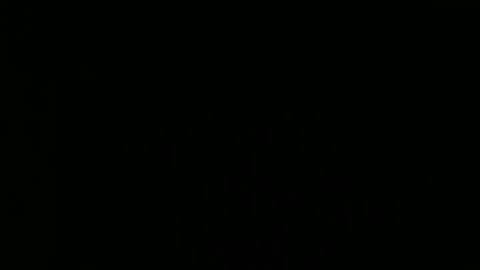 Snapshot of tomandjudy chatting on November 2025 09:20:02 PM Bear and Chaw online show from November 2025 09:20:02 PM