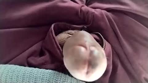 Snapshot of tomas_cum69 chatting on January 2025 08:32:01 PM Tomas online show from January 2025 08:32:01 PM