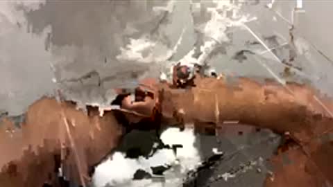 Dr. Dick online show from November 2025 03:45:01 PM