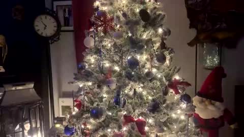 Snapshot of tommybones4l93 chatting on December 2025 02:06:01 AM tommybones4l93 online show from December 2025 02:06:01 AM