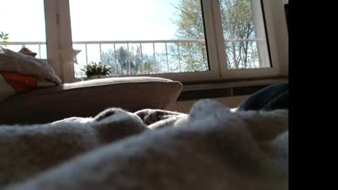 Snapshot of tomroth1 chatting on April 2026 08:20:01 AM Rene NRW69 online show from April 2026 08:20:01 AM