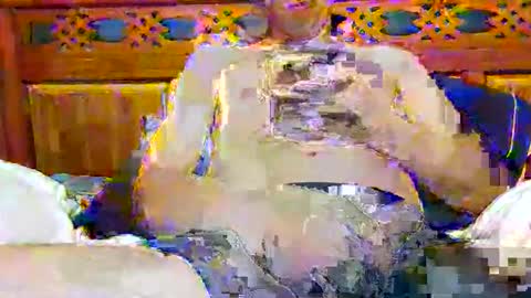 tomygolden online show from November 2025 03:20:01 AM