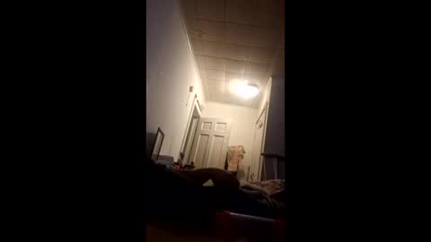 tonetanight online show from February 2026 11:52:01 PM