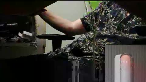 Snapshot of tontin69 chatting on March 2026 12:12:01 AM tontin69 online show from March 2026 12:12:01 AM