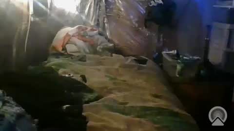 tootall1991420 online show from October 2025 01:06:02 PM