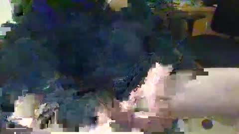 Topcat127 online show from March 2025 06:23:01 AM