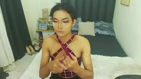 Snapshot of toptrans_venice chatting on October 2025 01:31:02 PM toptrans venice online show from October 2025 01:31:02 PM