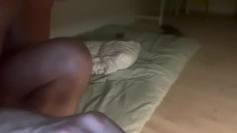 tordep online show from November 2025 04:28:01 PM